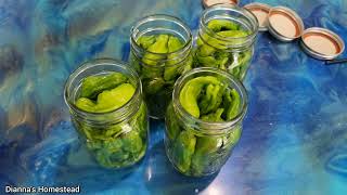 Quick Pickled Pepperoncini Peppers  Refrigerated Greek Pepperoncini [upl. by Ainnos]