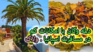 ولاگ در مسافرت اسپانیا و دلمه وگان با امکانات کم [upl. by Campy]