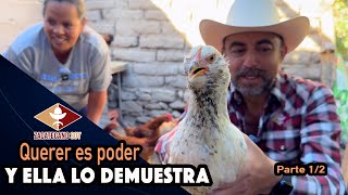 GALLINAS CRIOLLAS no sabíamos lo buenas que son [upl. by Brunell]