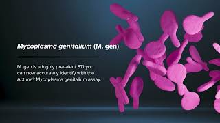 Mycoplasma genitalium [upl. by Neraa]