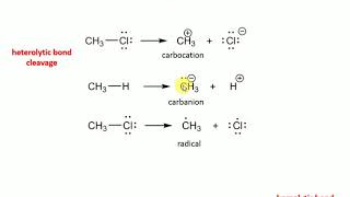 Shape and their relative stability of Reactive Intermediates [upl. by Ahsatan]