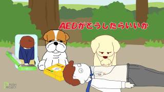 救急アニメ救え！ボジョレー！！第３話「AEDの使い方」 [upl. by Miner593]