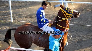 El Méxicano  Sebastián Almendras quotEl Cuarto De Millaquot Corridos De Caballos [upl. by Yenhpad]