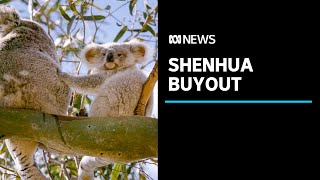 NSW Government likely to buy out license of controversial Chinese owned Shenhua mine  ABC News [upl. by Kabob692]