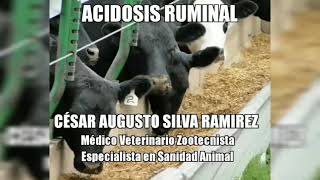 Acidosis Ruminal [upl. by Jegar]