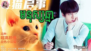 មនុស្សឆ្មា​  Catman  សម្រាយសាច់រឿង  movie review  Tinynamol [upl. by Aidnis187]