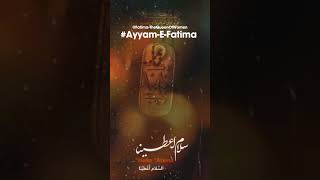 Full Video See in Description 🔗quotLady Fatima SA  The Woman Who Changed History Foreverquot [upl. by Summer469]