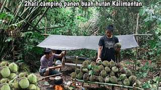 2hari camping fishing and panen buah durian hutan Kalimantan [upl. by Andri]