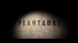 PLANTADAS Official Trailer [upl. by Nilkoorb252]