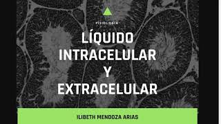 Líquido extracelular e intracelular LEC LIC  Fisiología [upl. by Needan]