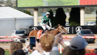 A Legendary Day A Fairytale Ending The 2024 Ladbrokes Cox Plate Day [upl. by Jonette]