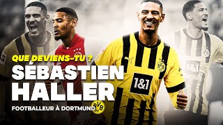 QUE DEVIENSTU SÉBASTIEN HALLER [upl. by Arob491]