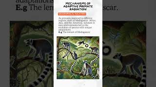 Ep6 Explained Adaptive Primate RadiationPaper12019 upsc anthropology anthropologylectures [upl. by Villada]