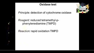 Oxidase test Handson lab [upl. by Glaab881]