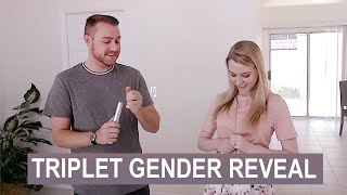 TRIPLET Gender Reveal [upl. by Nydnarb]