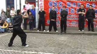 Shaolin kung fu in Dublin 13 Whip Chain with Shi fu Yang Dong Shaolin Kung Fu Academy Ireland [upl. by Sikata]