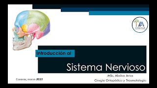 Introducción al Sistema Nervioso Mar 23 [upl. by Ahsatam]