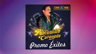 Pascualillo Coronado  Mix Cariñito [upl. by Swords570]