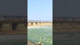 Farakka barrage gate open video  2022  GangaPadma River [upl. by Arras545]