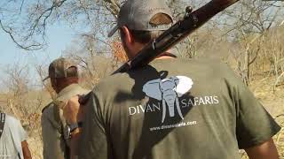 Divan Safaris Namibias famous Caprivi [upl. by Webb]