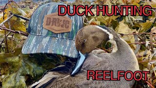 Reelfoot Lake Duck Hunting  William Riddle Blind [upl. by Letsirhc]