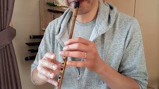 The Sally Gardens  Tin Whistle [upl. by Jaquelyn]