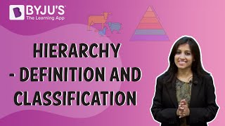 Hierarchy  Definition And Classification [upl. by Adaline308]