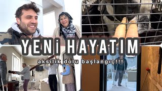 AKSİLİKLERLE DOLU YENİ HAYATIMA HOŞGELDİNİZ [upl. by Kamat105]