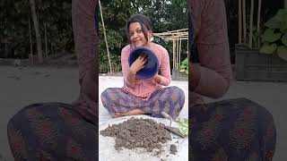 পাশের বাড়িতে হানা দিলাম কেনcoleusplant cuttingplants pottingsoil coleuscare viralshorts [upl. by Colombi]