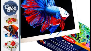 Derwent Inktense Siamese Fighting Fish Art Piece [upl. by Tabb]