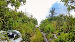 Miami Storm Over  Aftermath brings Crabs and Snakes  Chit Show [upl. by Kobi747]