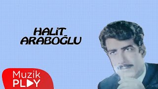 Sevda Yüklü Kervanlar  Halit Araboğlu Official Audio [upl. by Assirt201]