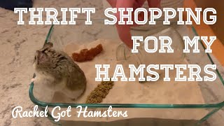 HAMSTER CARE ON A BUDGET  thrift shopping for my hamsters 🐹 💰 [upl. by Libre]