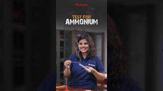 Identification Test for Ammonium  Plus Two Chemistry Practicals  Aegon [upl. by Cupo937]