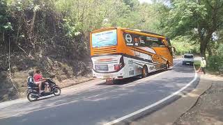 Bus telolet basuri viral artis bus pulang dari pantai pangandaran [upl. by Tenn]