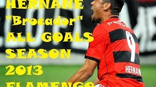 Hernane quotBrocadorquot  Todos os 36 gols em 2013 HD  All Goals 2013  Flamengo  Best Striker  Brazil [upl. by Jeanine]