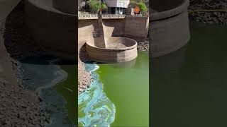 El lago San Roque con CIANOBACTERIAS Y SIN AGUA 🔴 [upl. by Tades]