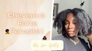 COMMENT GERER DES CHEVEUX À FORTE POROSITE  conseils  astuces  de Lsm Goldy [upl. by Nerte]