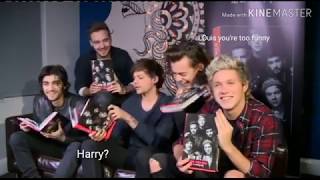 Larry Stylinson Interview Moments [upl. by Glynas]