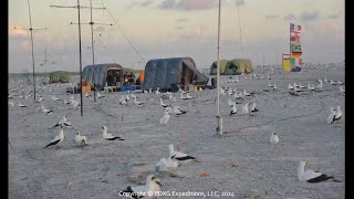 Clipperton Island DXpedition 2024 [upl. by Masha]