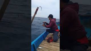 Ikan Hobi Besi Bener Bener Pr3d4tor fishing mancingtanjunglesung mancing [upl. by Scandura538]