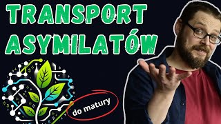 Transport asymilatów w roślinie  fizjologia roślin  cukier transportowy  sacharoza [upl. by Revilo636]