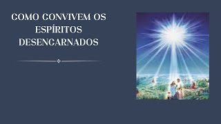 Estudo EspÃ­rita  Como convivem os EspÃ­ritos Desencarnados  Robson Rodrigues [upl. by Niki]