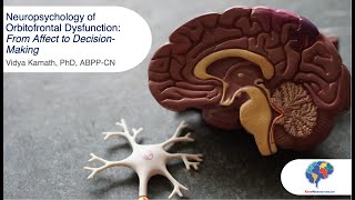 Neuropsychology of Orbitofrontal Dysfunction From Affect to DecisionMaking [upl. by Eintrok]