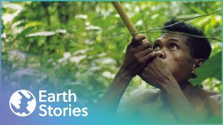 How Indigenous Tribes Live In Malaysia  Man Hunt  Earth Stories [upl. by Haiel]