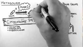 Pharmacokinetics 4  Metabolism [upl. by Leffert]