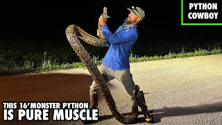 Will The Burmese Python Problem In The Florida Everglades Ever Be Resolved [upl. by Llennyl]