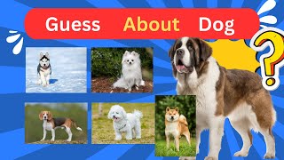 You dont Know this about your Dog Breed  Can you Guess  Quiz Challenge [upl. by Annam755]