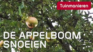 De appelboom snoeien hoe doe je dat  Tuinmanieren [upl. by Airdnua]