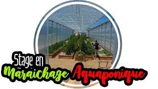 💧AQUAPONIE  Stage en maraîchage aquaponique [upl. by Alyahsat839]